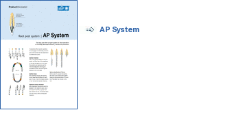 AP System 